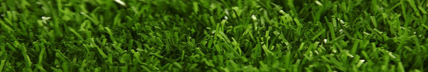 Bornova futbol tesisi seçimi için temsili rehber görseli